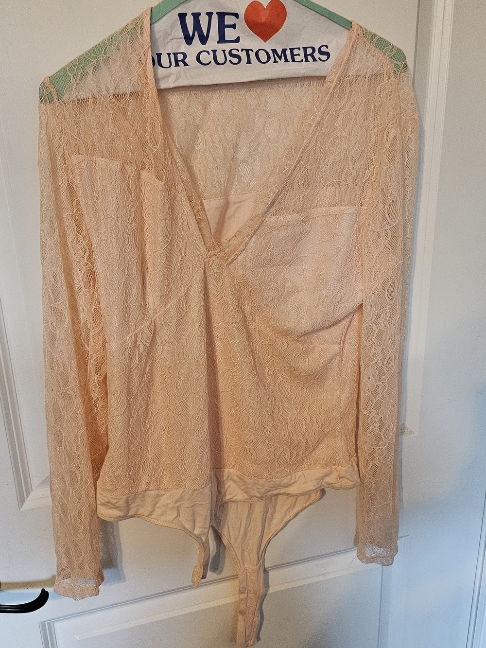 Sheer Lace Long-Sleeve Bodysuit in Light Peach